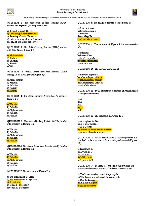 Miniatura del documento BCTESTCITOESQ DIFER.pdf