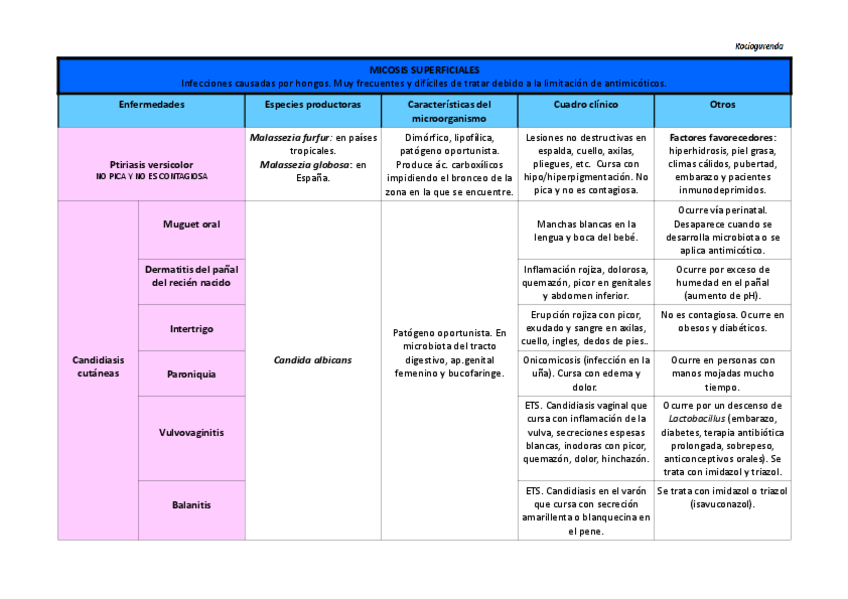 Miniatura del documento Tabla Micosis Superficiales.pdf