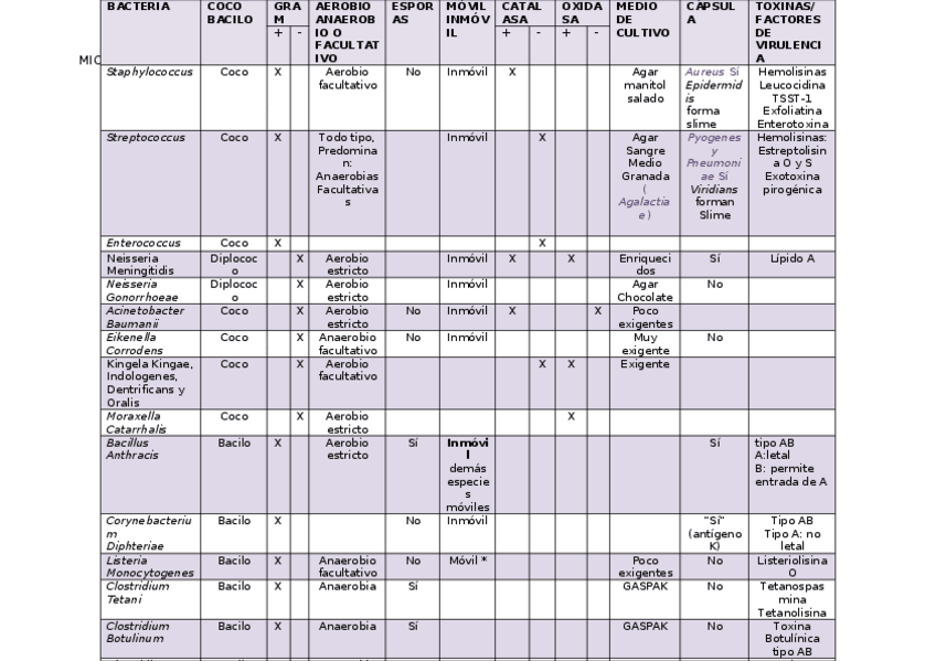 Miniatura del documento BACTERIA.docx