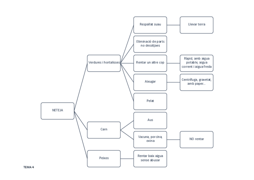 Miniatura del documento TEMA 4. NETEJA.pdf