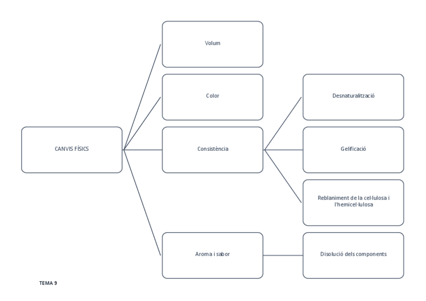 Miniatura del documento TEMA 9. CANVIS FÍSICS.pdf
