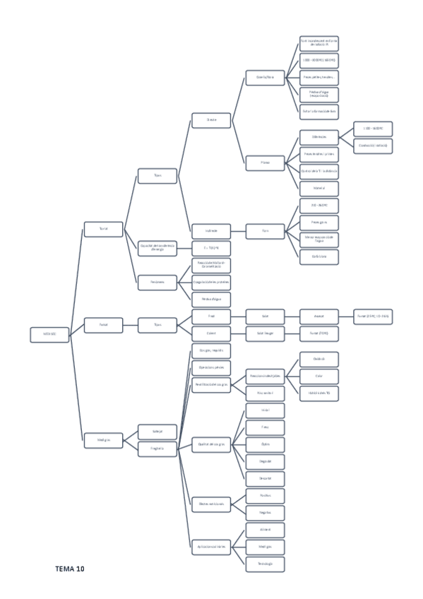Miniatura del documento TEMA 10. MEDI SEC.pdf