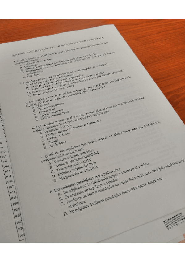 Miniatura del documento Enero 2019 APG.pdf