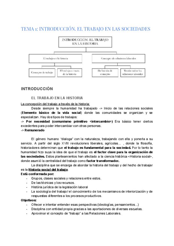 Miniatura del documento HISTORIA TEMAS .pdf