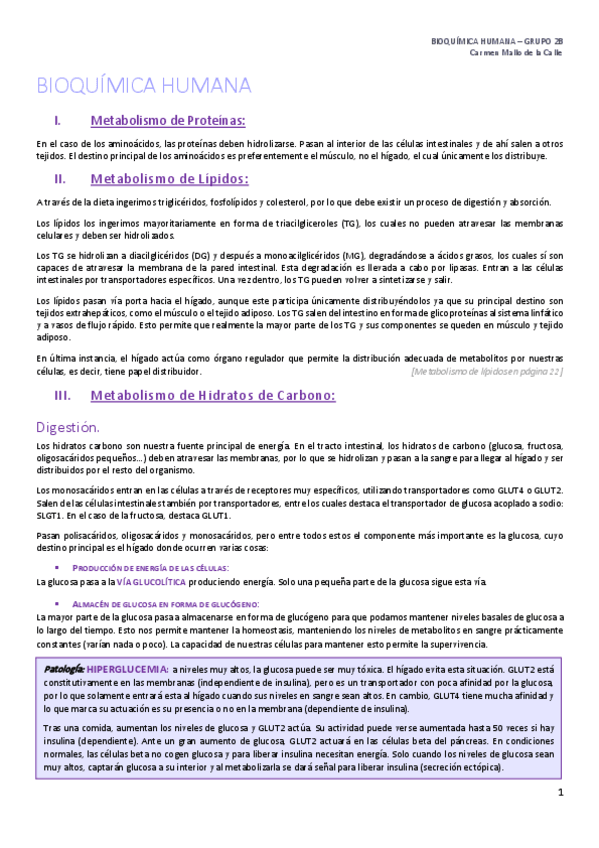 Miniatura del documento Segundo Parcial.pdf