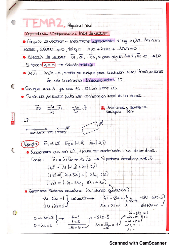Miniatura del documento TEMA 2 algebra lineal.pdf
