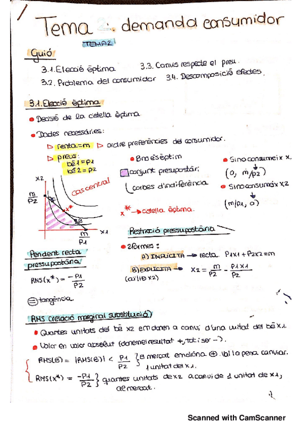Miniatura del documento MICRO I TEMA 2 DEMANDA CONSUMIDOR_.pdf