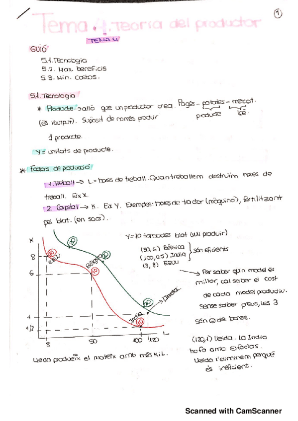 Miniatura del documento MICRO I TEMA 4 TEORIA PRODUCTOR_.pdf