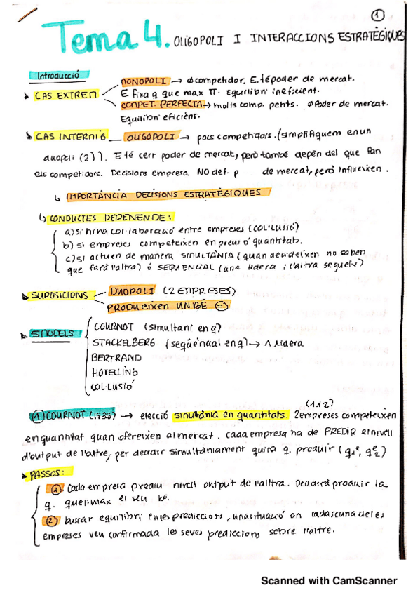 Miniatura del documento TEMA 4 APUNTS_20190507183530.pdf