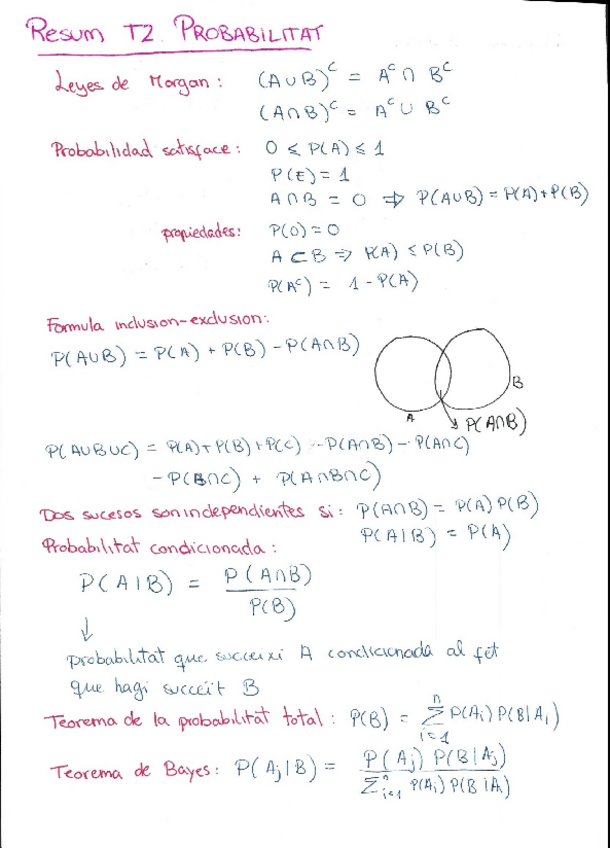 Miniatura del documento PIE - Resum T2.pdf