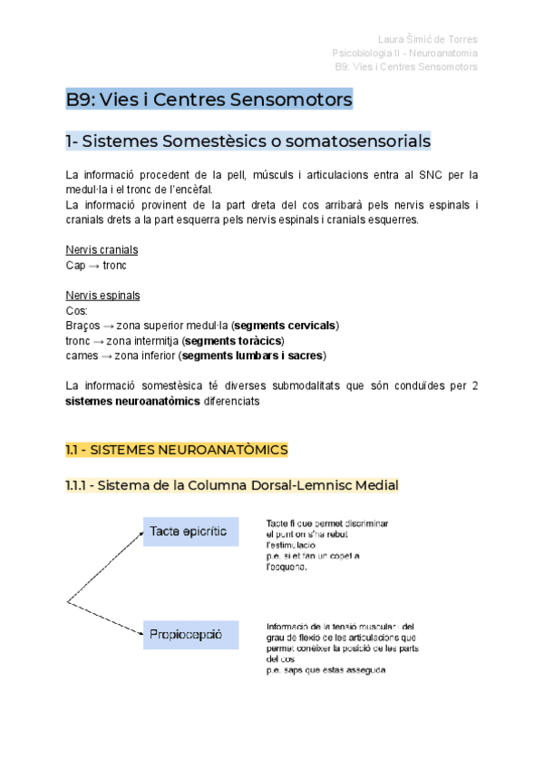 Miniatura del documento TEMA 9_ Vies i Centres Sensomotors(1).pdf