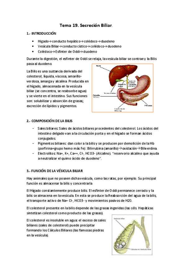 Miniatura del documento Tema 19 fisio.pdf