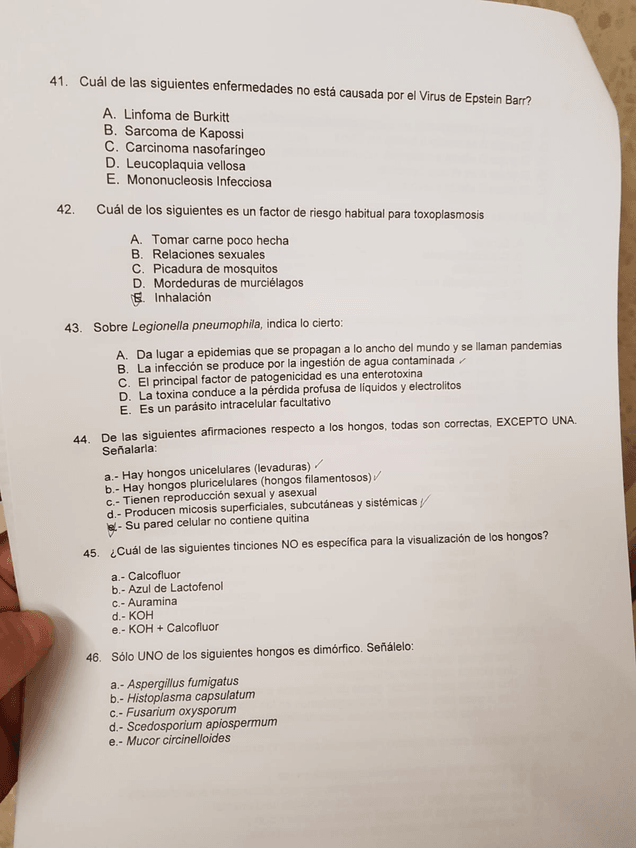 Miniatura del documento IMG-20190403-WA0035.jpg