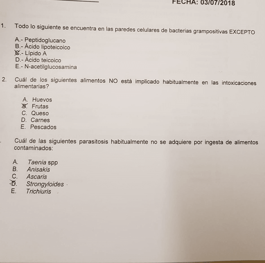 Miniatura del documento IMG-20190403-WA0019.jpg