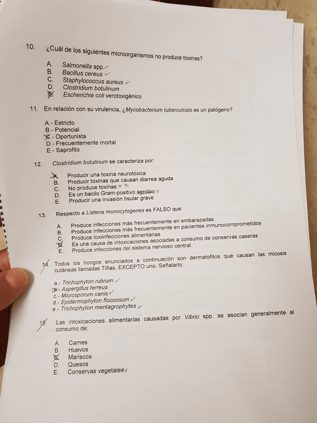 Miniatura del documento IMG-20190403-WA0018.jpg