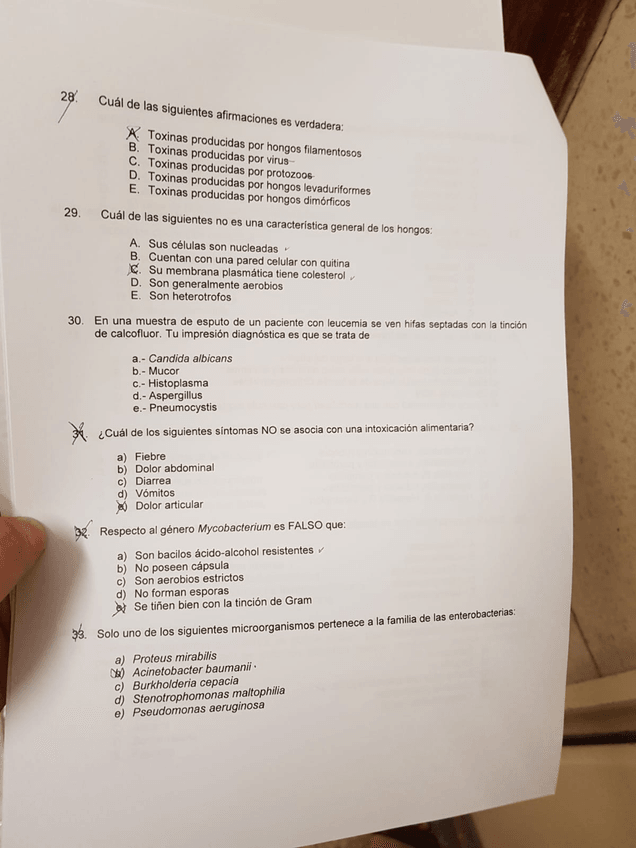 Miniatura del documento IMG-20190403-WA0021.jpg