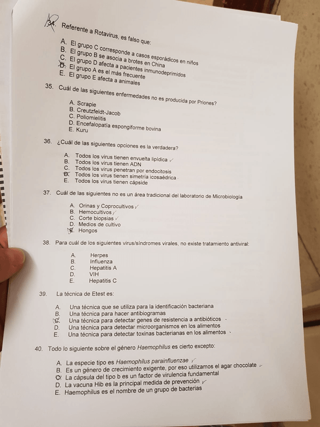 Miniatura del documento IMG-20190403-WA0038.jpg