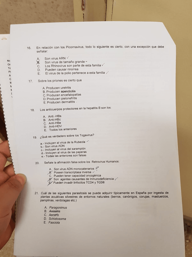 Miniatura del documento IMG-20190403-WA0017.jpg