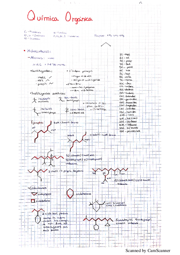 Miniatura del documento quimica organica.pdf