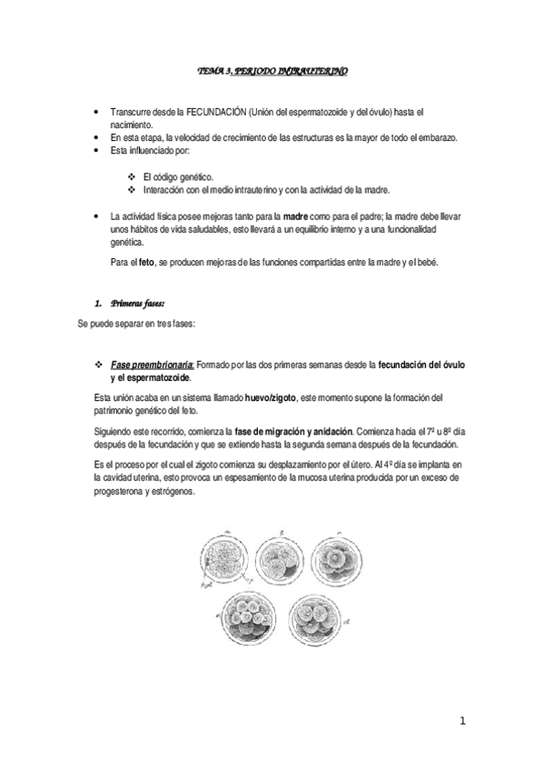 Miniatura del documento TEMA 3.docx