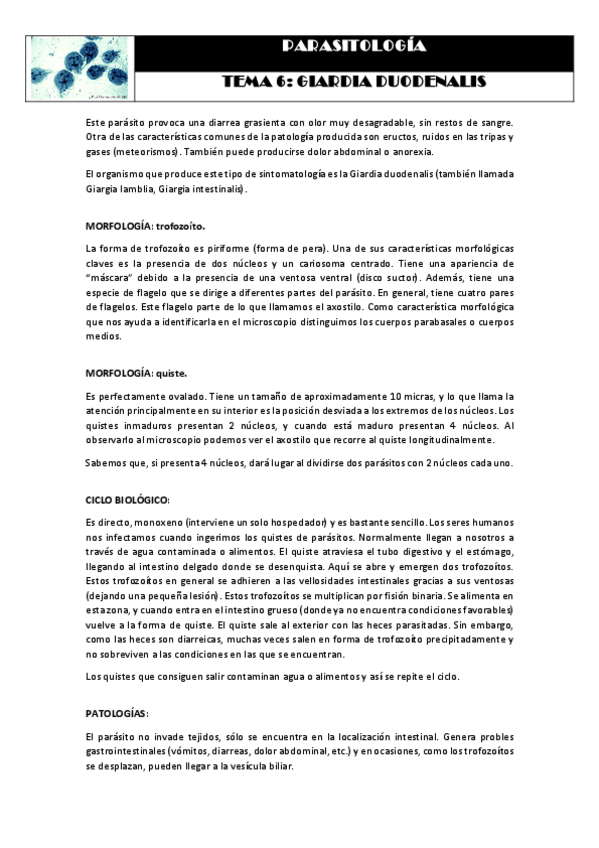 Miniatura del documento Tema 6 GIARDIA DUODENALIS.pdf