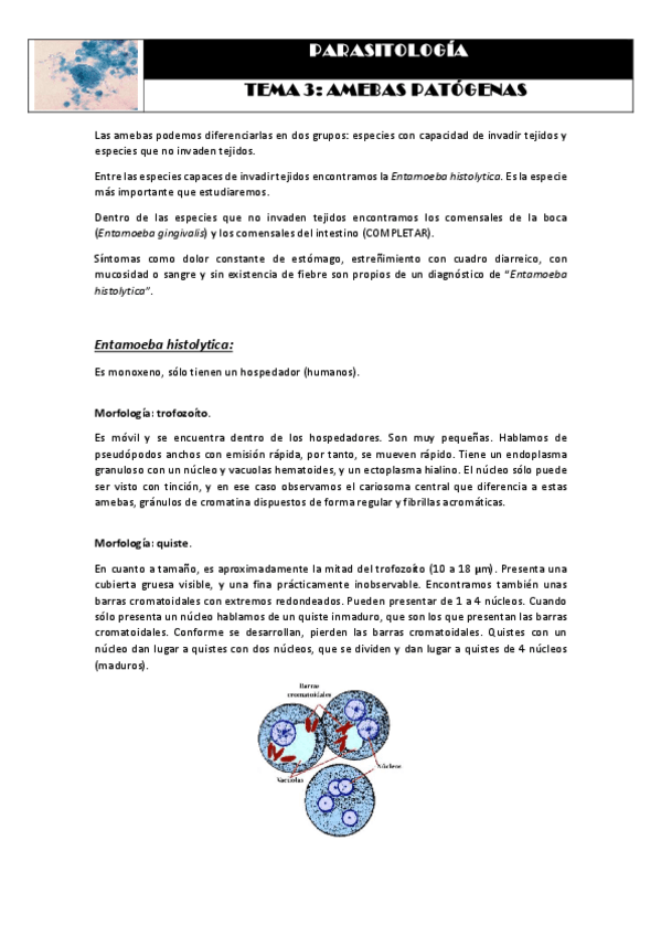 Miniatura del documento Tema 3 AMEBAS PATÓGENAS.pdf