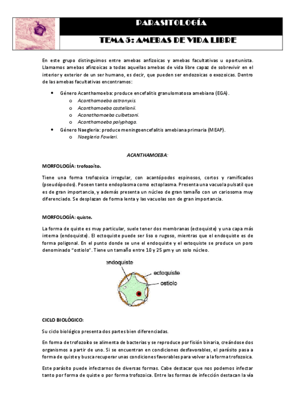 Miniatura del documento Tema 5 AMEBAS DE VIDA LIBRE.pdf