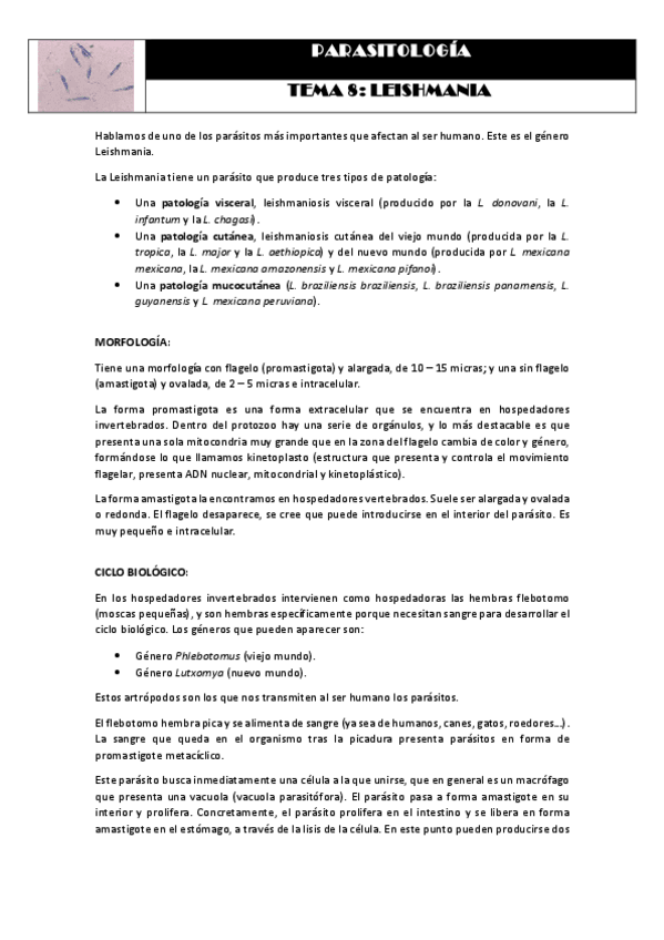 Miniatura del documento Tema 8 LEISHMANIA.pdf