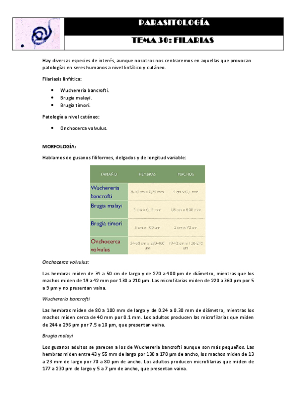 Miniatura del documento Tema 19 FILARIAS.pdf