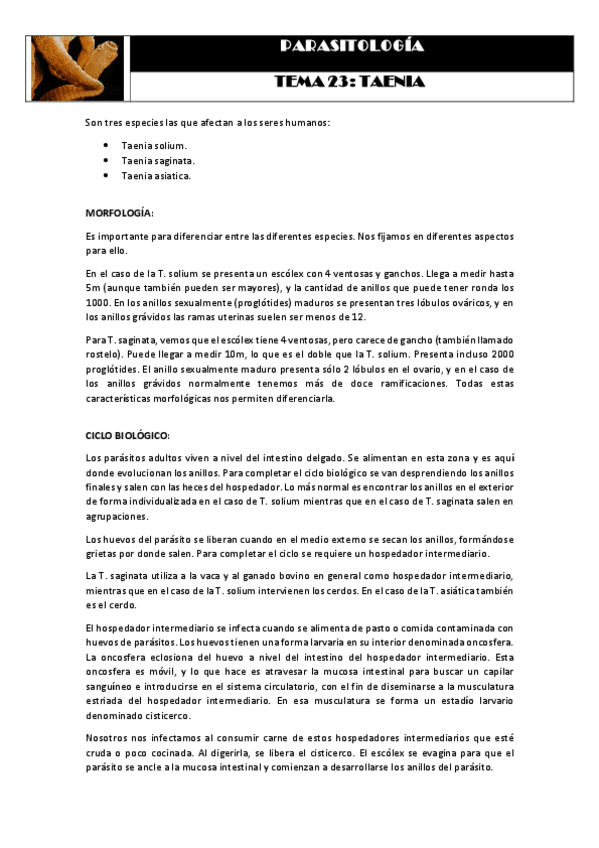 Miniatura del documento Tema 23 TAENIA.pdf