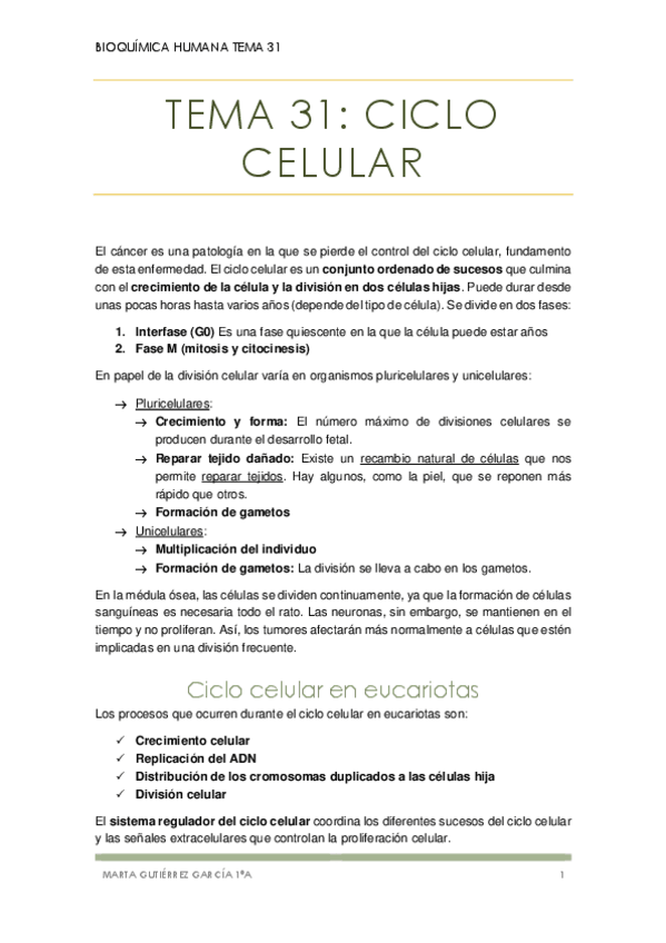 Miniatura del documento Tema 31.pdf