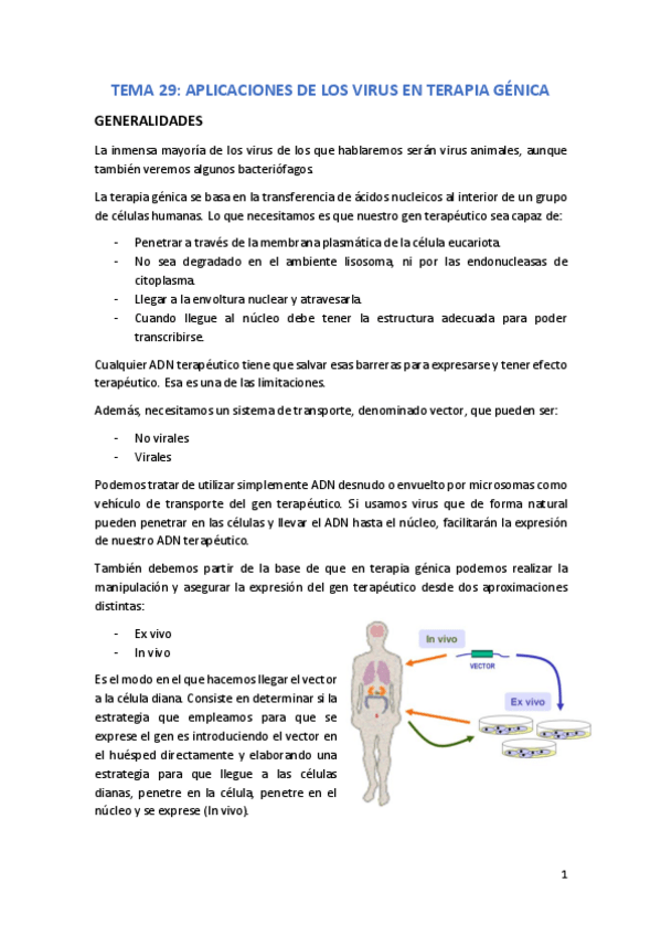 Miniatura del documento TEMA 29.pdf