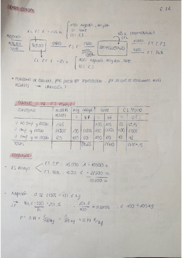 Miniatura del documento CASO COTTON.pdf