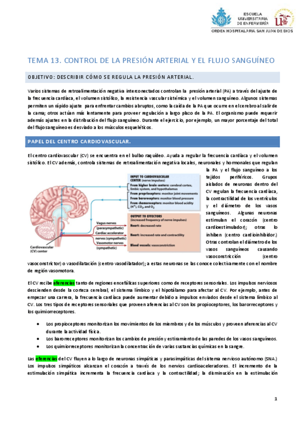 Miniatura del documento TEMA 13 Mecanismos de regulación de la circulación..pdf