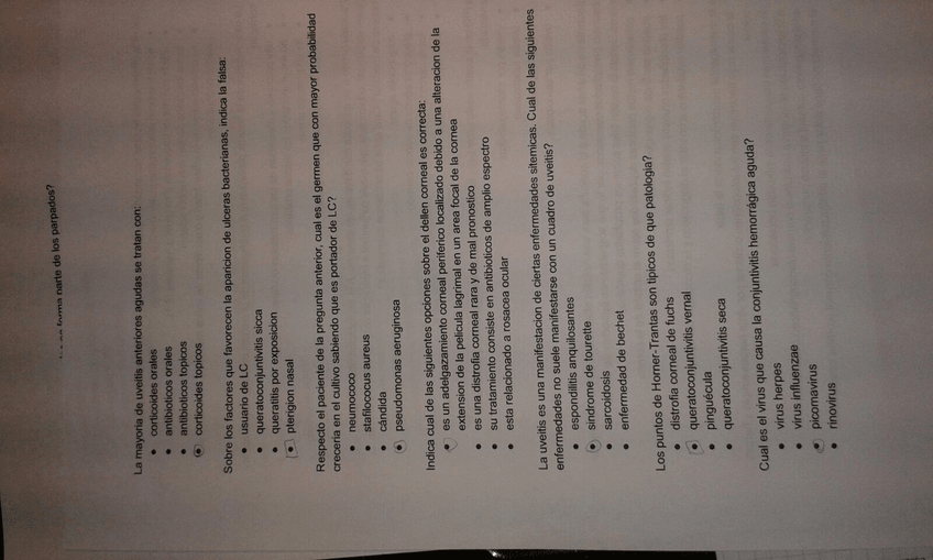 Miniatura del documento IMG_4007.JPG