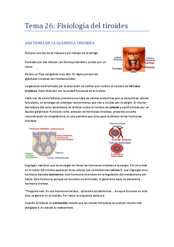 Miniatura del documento TEMA 26. TIROIDES.pdf