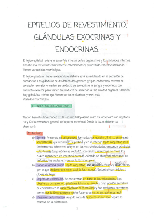 Miniatura del documento Doc1.pdf