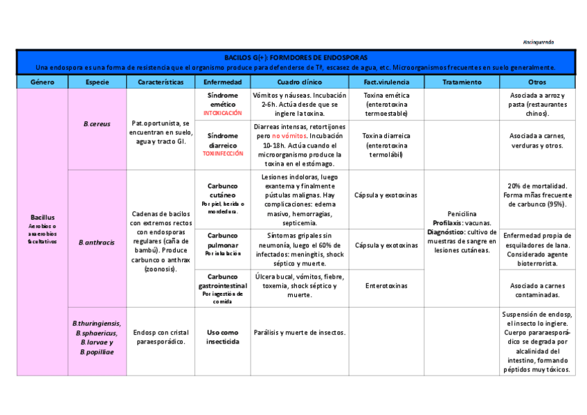 Miniatura del documento Tabla Formadores de endosporas (G+).pdf