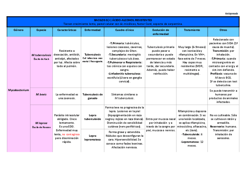 Miniatura del documento Tabla Ácido-Alcohol Resistentes (G+).pdf