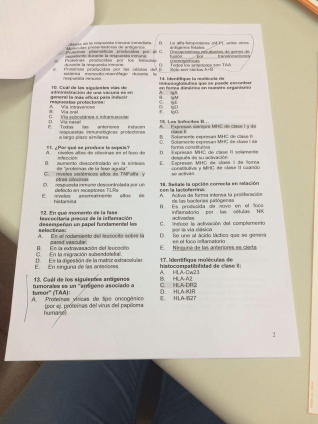 Miniatura del documento IMG-20190524-WA0031.jpg