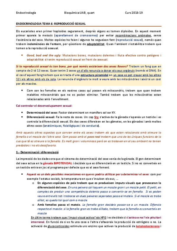 Miniatura del documento ENDOCRINOLOGIA TEMA 6 - REPRODUCCIÓ SEXUAL.pdf