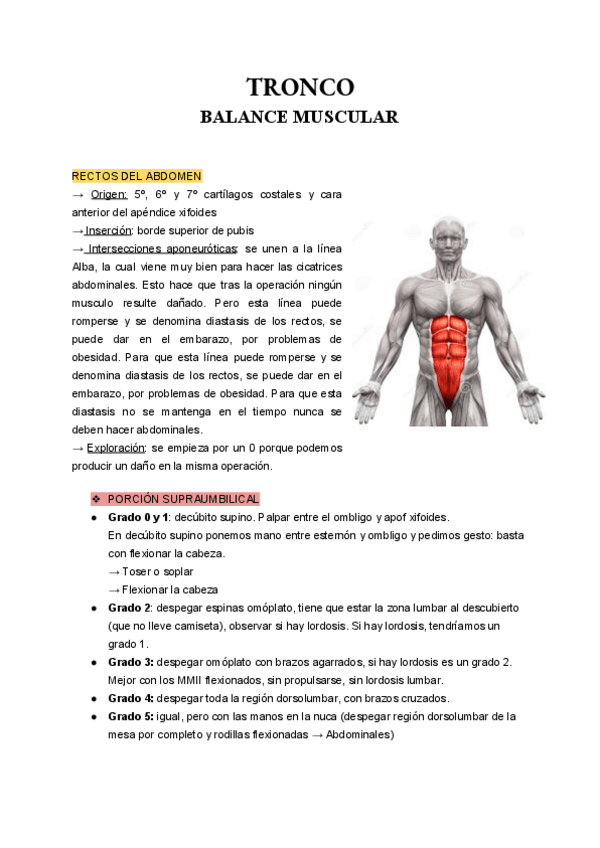 Miniatura del documento cinesiologia tronco.pdf