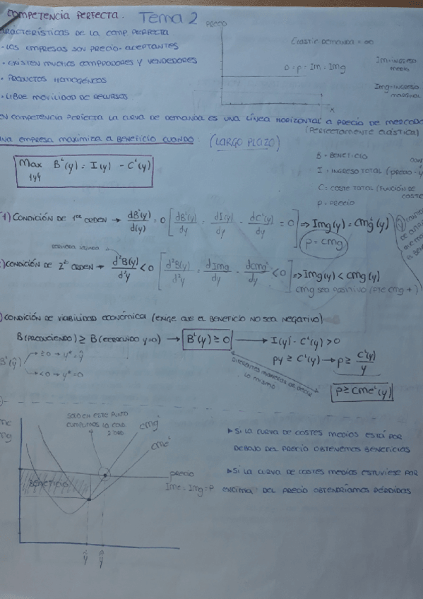 Miniatura del documento Competencia perfecta .pdf