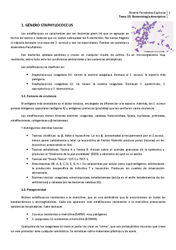 Miniatura del documento Tema 15_Bacteriología descriptiva.pdf