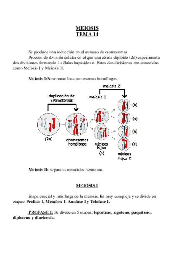 Miniatura del documento Tema 14.odt
