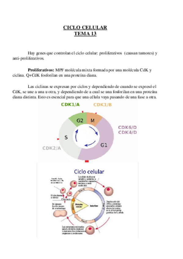 Miniatura del documento Tema 13.odt