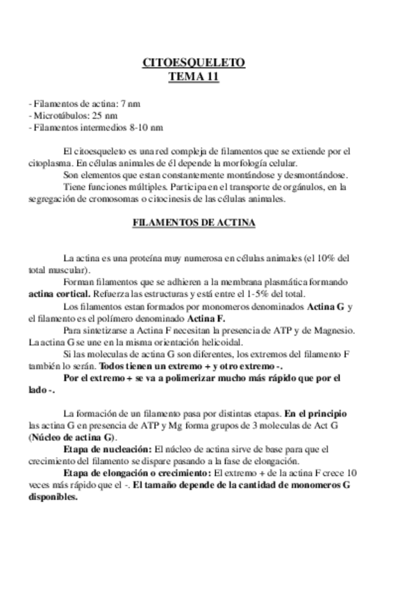 Miniatura del documento Tema 11.odt