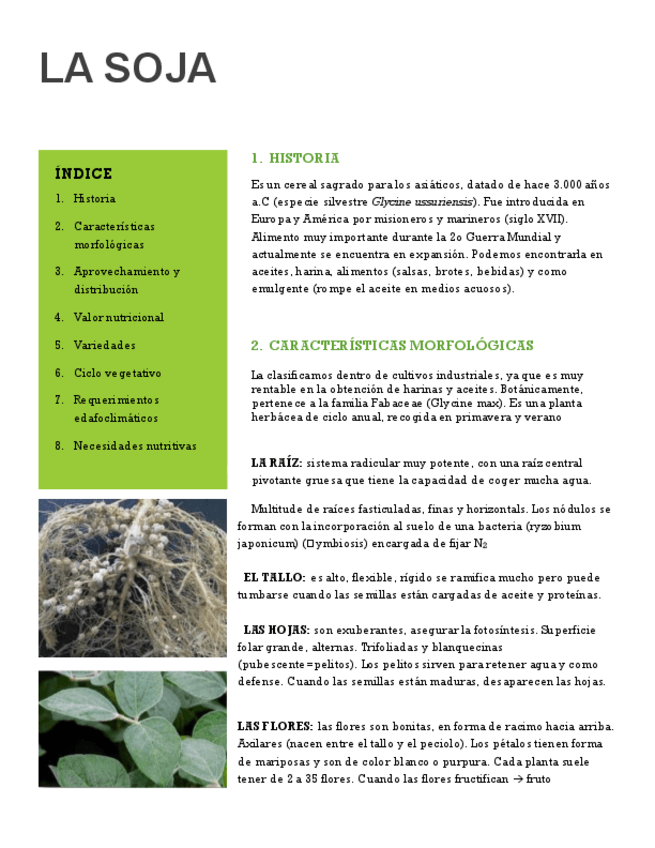 Miniatura del documento LA SOJA.pdf