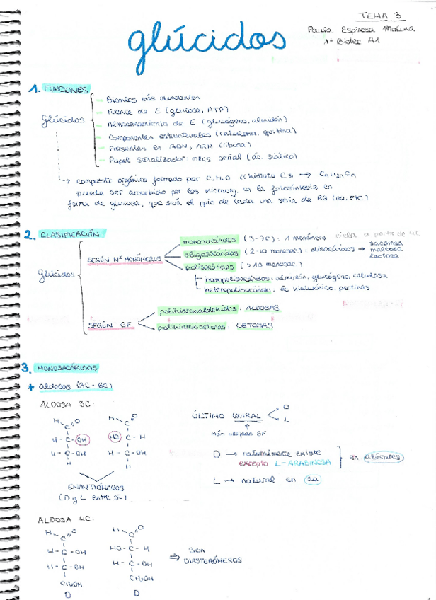 Miniatura del documento Tema Glúcidos teoría.pdf