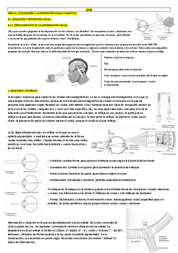 Miniatura del documento TEMA 4.pdf